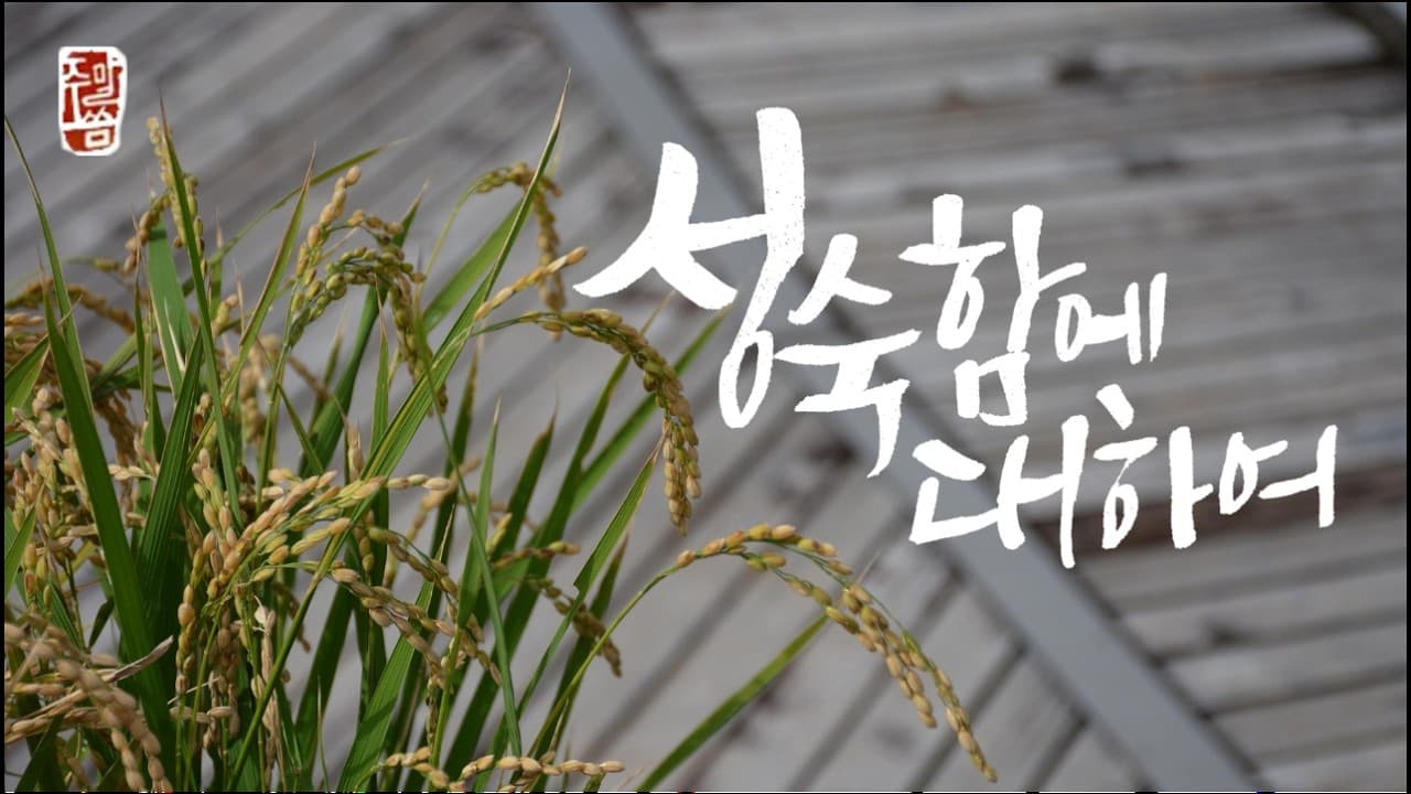 “성숙함에 대하여”